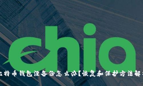 比特币钱包没备份怎么办?恢复和保护方法解析