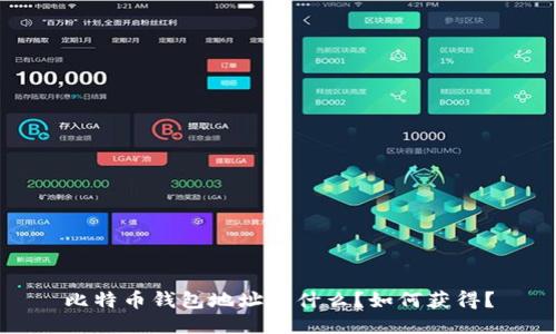 比特币钱包地址是什么?如何获得?