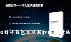 如何在比特币钱包里从新