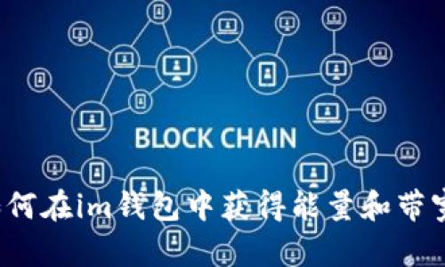 如何在im钱包中获得能量和带宽?