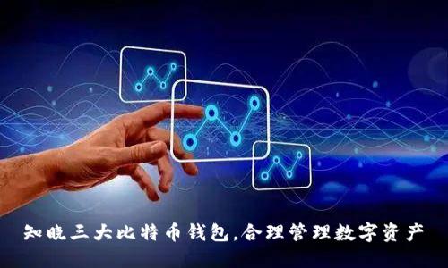 知晓三大比特币钱包,合理管理数字资产