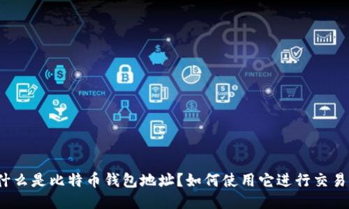什么是比特币钱包地址?如何使用它进行交易?
