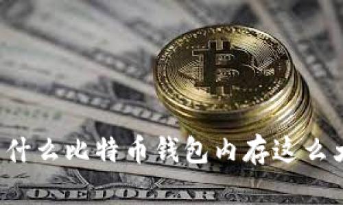 为什么比特币钱包内存这么大?