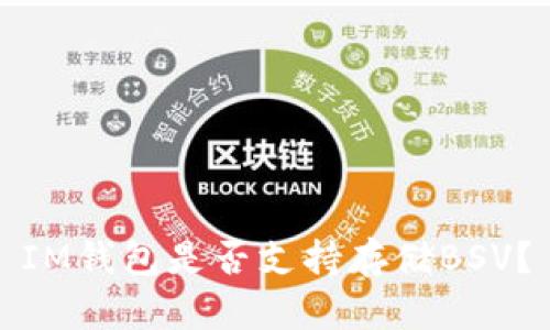 IM钱包是否支持存储BSV?