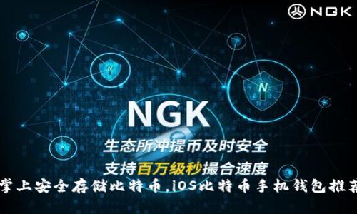 掌上安全存储比特币,iOS比特币手机钱包推荐