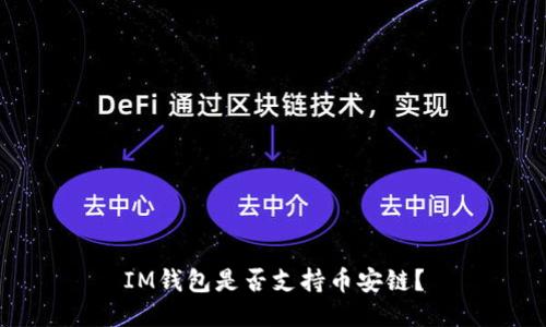 IM钱包是否支持币安链?