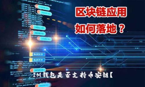 IM钱包是否支持币安链?