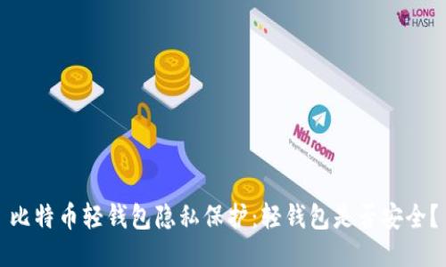 比特币轻钱包隐私保护:轻钱包是否安全?