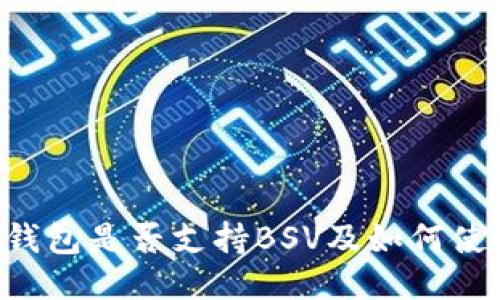 IM钱包是否支持BSV及如何使用?