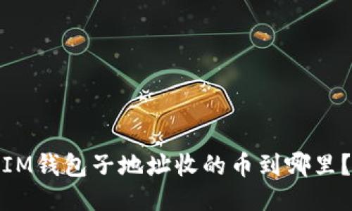 IM钱包子地址收的币到哪里?