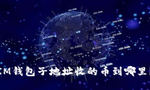 IM钱包子地址收的币到哪里?
