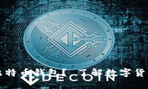 如何追踪比特币钱包? 了解数字货币追踪方法