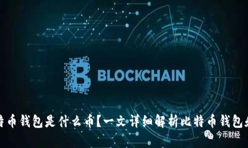 最初的比特币钱包是什么币?一文详细解析比特币钱包和相关问题