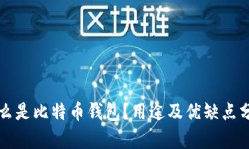 什么是比特币钱包?用途及优缺点分析