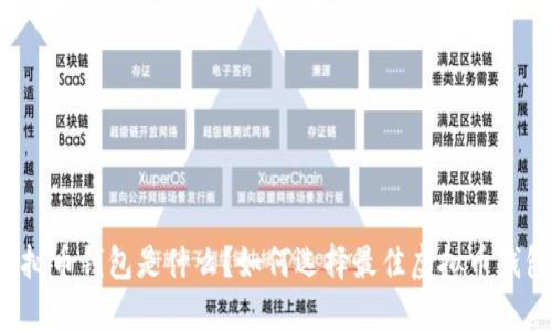 虚拟币钱包是什么?如何选择最佳虚拟币钱包?