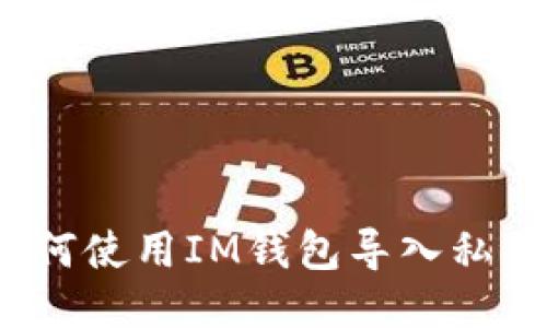 如何使用IM钱包导入私钥?