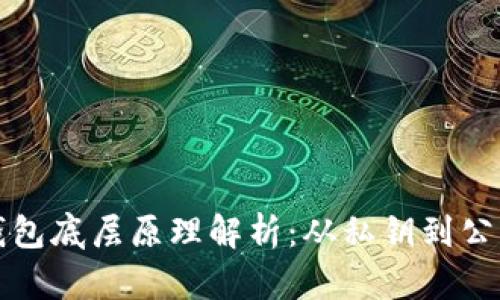 比特币钱包底层原理解析:从私钥到公钥和地址