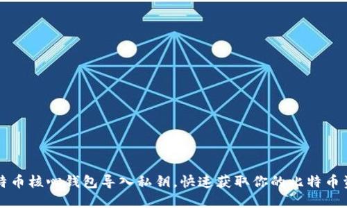 比特币核心钱包导入私钥,快速获取你的比特币资产