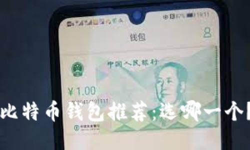 比特币钱包推荐:选哪一个?