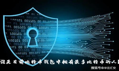 谁是目前比特币钱包中拥有最多比特币的人?