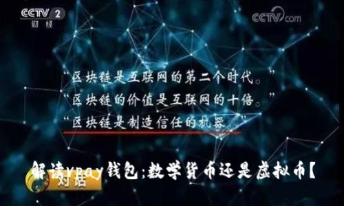 解读vpay钱包:数学货币还是虚拟币?