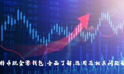 比特币现金零钱包:全面了解、选用及相关问题解决