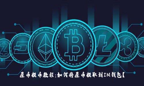 屎币提币教程:如何将屎币提取到IM钱包?