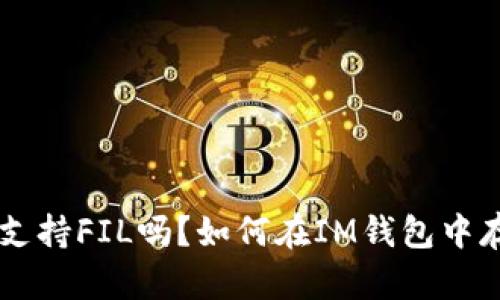 IM钱包支持FIL吗?如何在IM钱包中存储FIL?