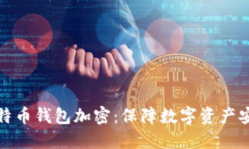 比特币钱包加密:保障数字资产安全