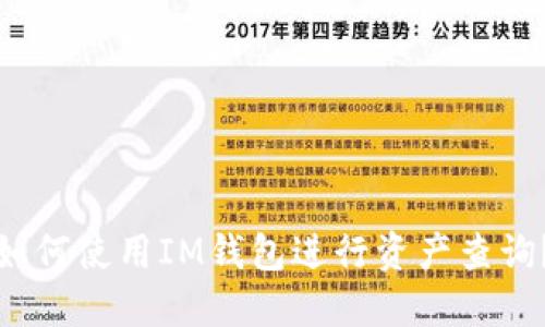 如何使用IM钱包进行资产查询?