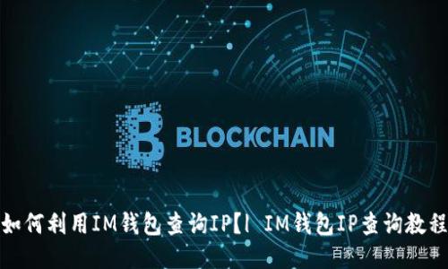 如何利用IM钱包查询IP?| IM钱包IP查询教程