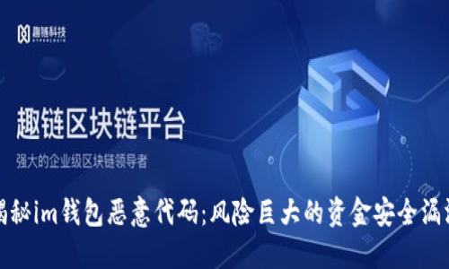 揭秘im钱包恶意代码:风险巨大的资金安全漏洞