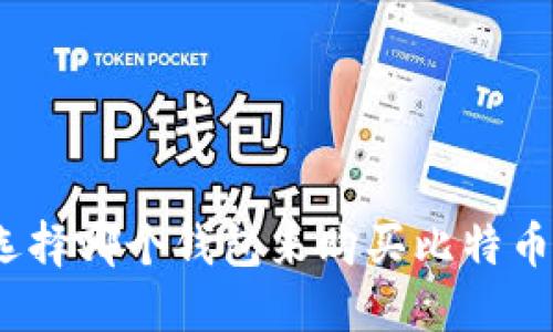 选择哪个钱包来购买比特币?