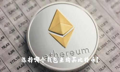 选择哪个钱包来购买比特币?