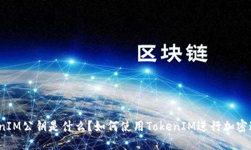 TokenIM公钥是什么?如何使用TokenIM进行加密通讯?