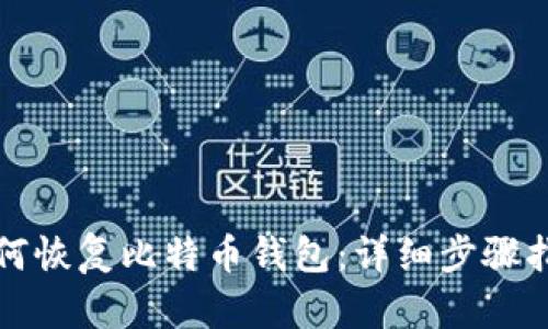 如何恢复比特币钱包:详细步骤指南