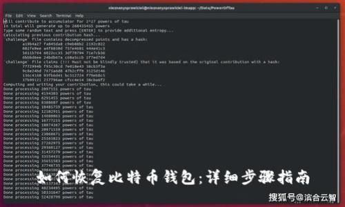 如何恢复比特币钱包:详细步骤指南
