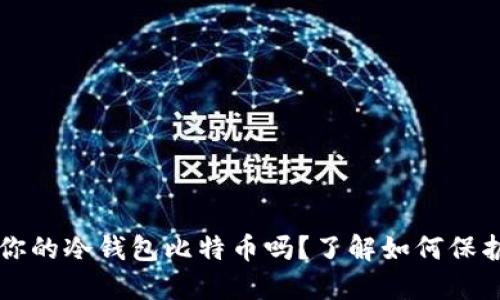 别人可以盗走你的冷钱包比特币吗?了解如何保护你的加密资产