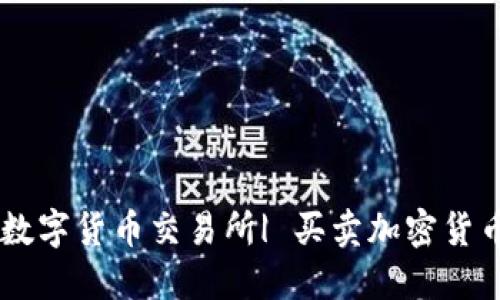 Tokenim: 数字货币交易所| 买卖加密货币,加密支付