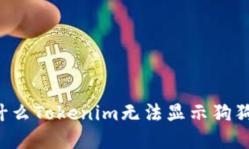 为什么Tokenim无法显示狗狗币?