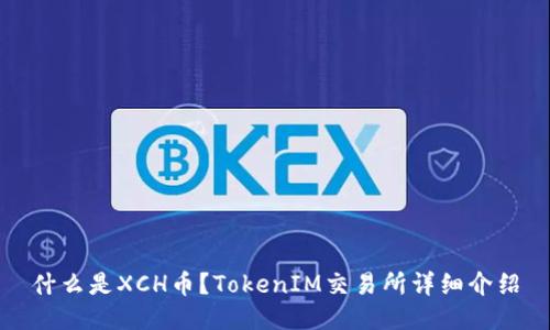 什么是XCH币?TokenIM交易所详细介绍