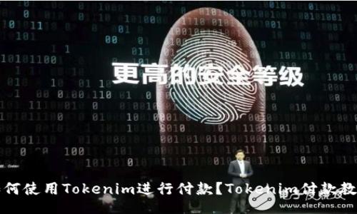 如何使用Tokenim进行付款?Tokenim付款教程