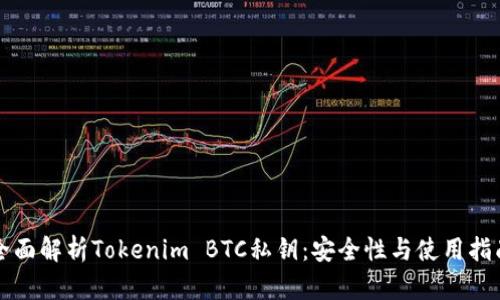 全面解析Tokenim BTC私钥:安全性与使用指南