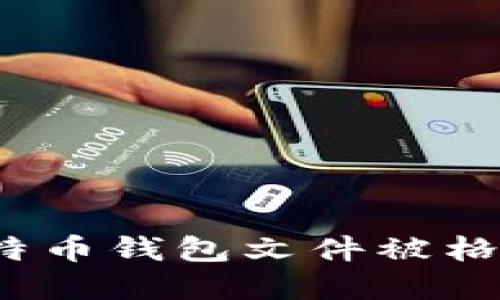 如何应对比特币钱包文件被格式化的危机?