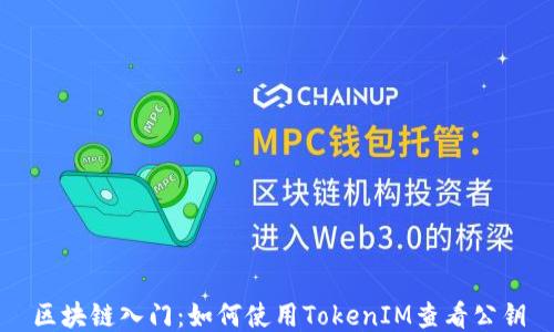 区块链入门:如何使用TokenIM查看公钥