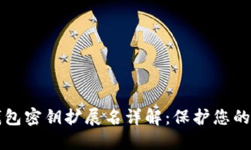 比特币钱包密钥扩展名详解:保护您的数字资产