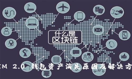 思考
TokenIM 2.0 钱包资产消失原因及解决方案详解