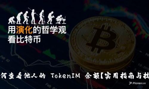 如何查看他人的 TokenIM 余额?实用指南与技巧