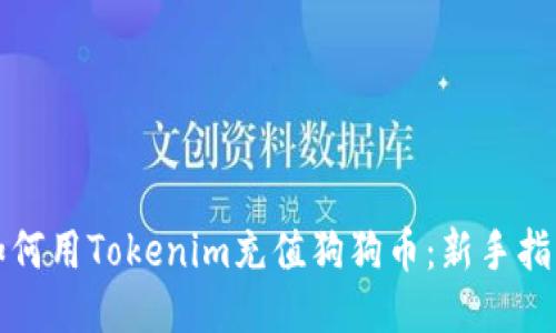 如何用Tokenim充值狗狗币:新手指南