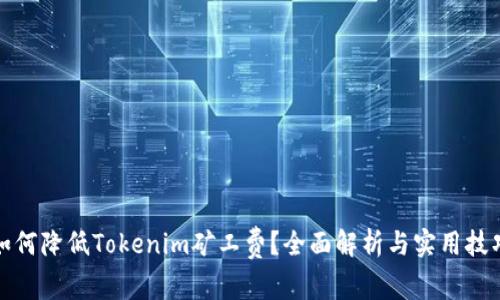 如何降低Tokenim矿工费?全面解析与实用技巧